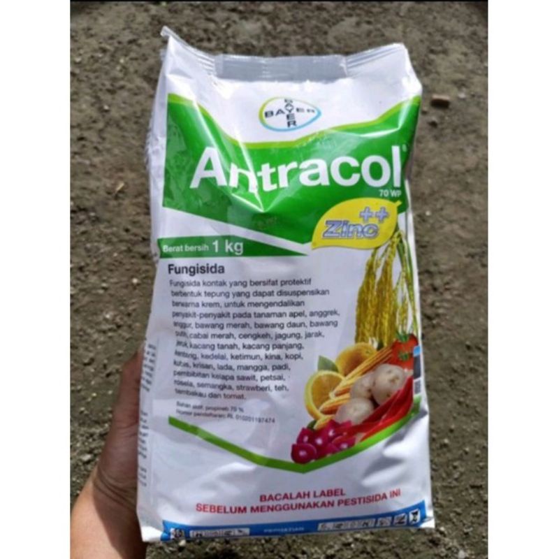 Jual Fungisida Antracol 70 WP 1 Kg Shopee Indonesia