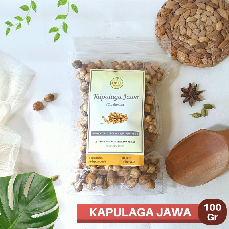 Jual Gr Kapulaga Jawa True Cardamom Premium Quality Shopee