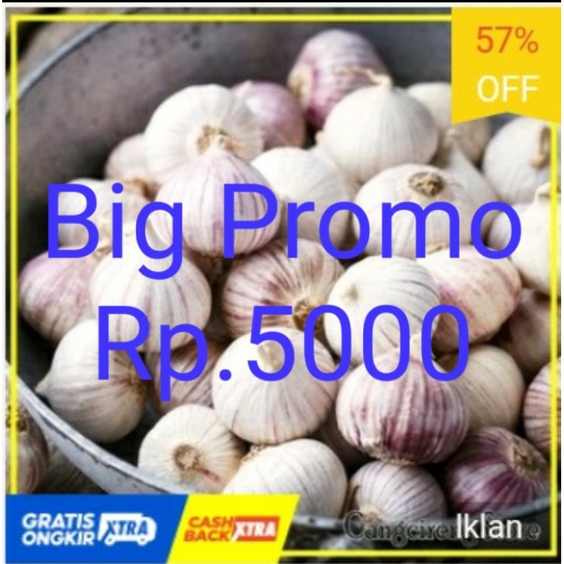 Jual Bawang Putih Tunggal Lanang Besar Jumbo Kg Fresh Import Shopee