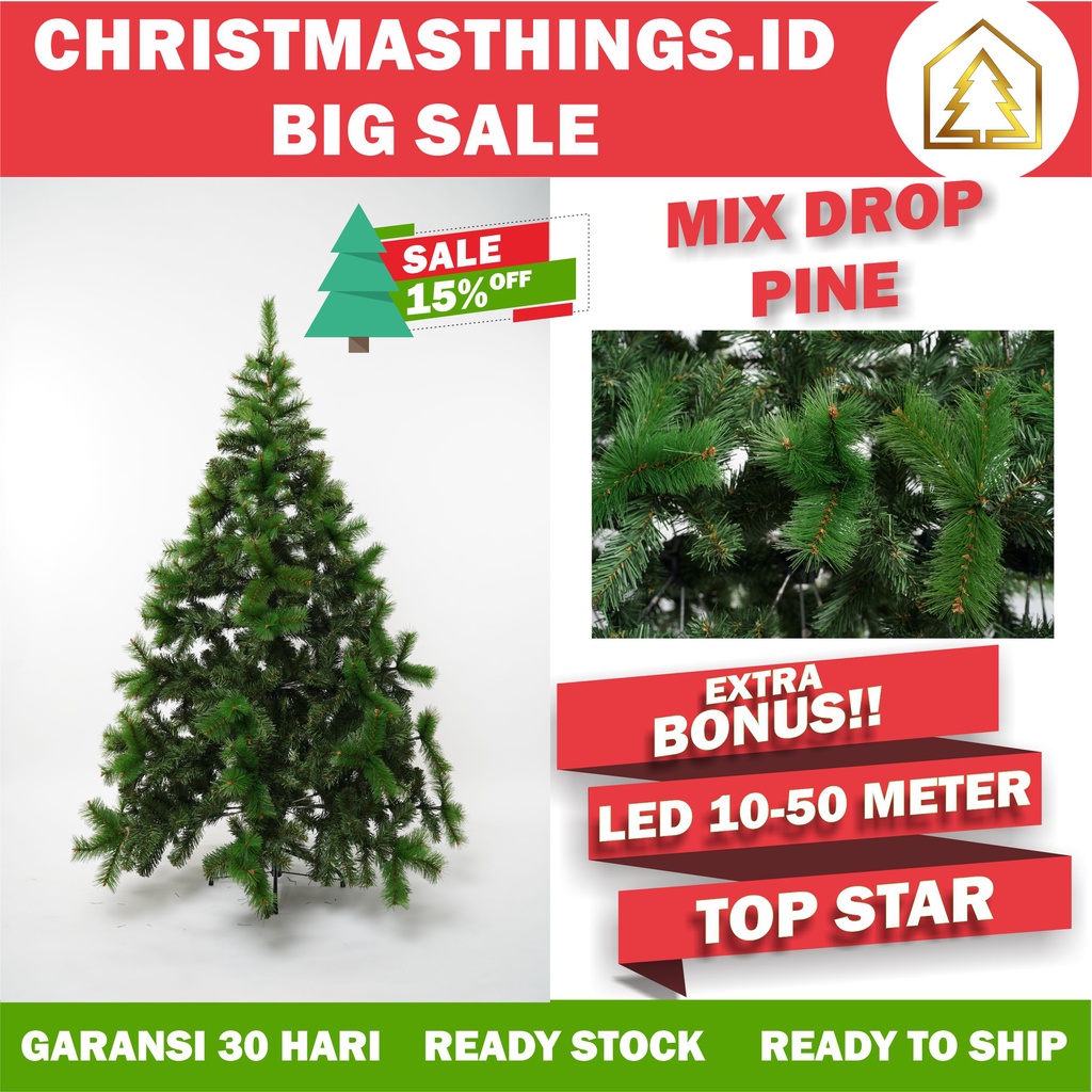 Jual POHON NATAL PINUS SALJU POLOS TINGGI 12 FT 3 6 METER PREMIUM 360