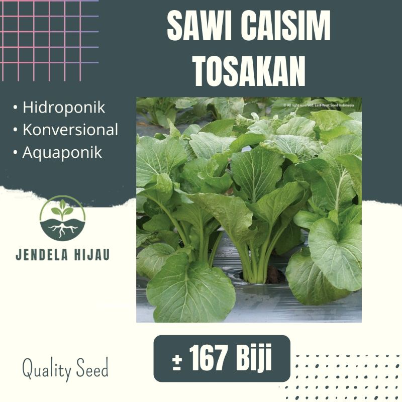 Jual Sawi Caisim Tosakan Cap Panah Merah Bibit Tanaman Sayuran Repack