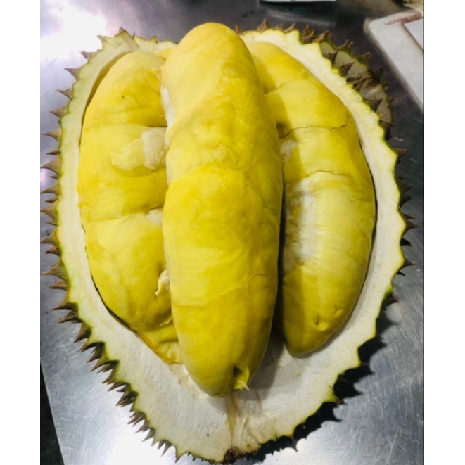 Jual Durian Utuh Montong Palu Parigi Kg Shopee Indonesia