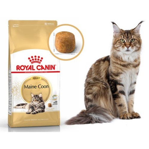 Jual ROYAL CANIN Maine Coon Adult Dry Cat Food Makanan Kucing