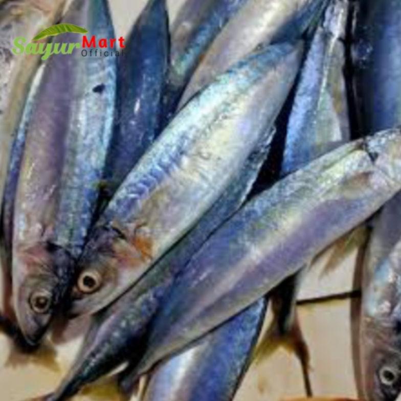 Jual Ikan Kembung Layang Segar Gr Shopee Indonesia