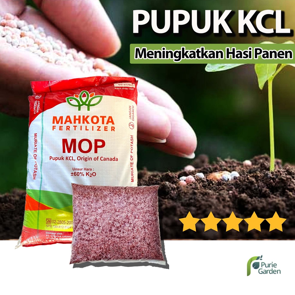 Jual Purie Garden Pupuk Kcl Pupuk Booster Tanaman Gr Shopee Indonesia