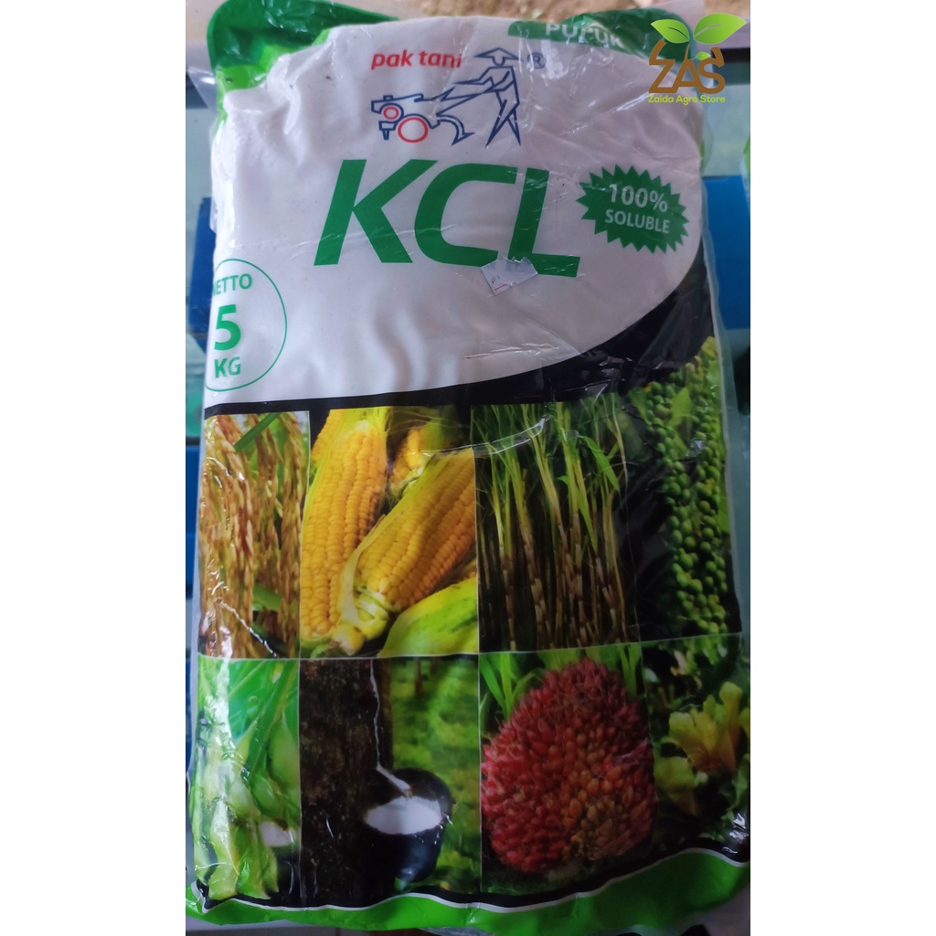 Jual KCL PUTIH PAK TANI KEMASAN 5KG Shopee Indonesia