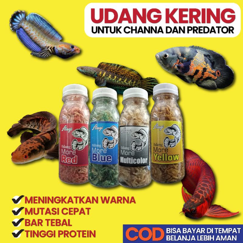 Jual Asagi Udang More Red Blue Yellow G Color Carophyll Pakan Ikan