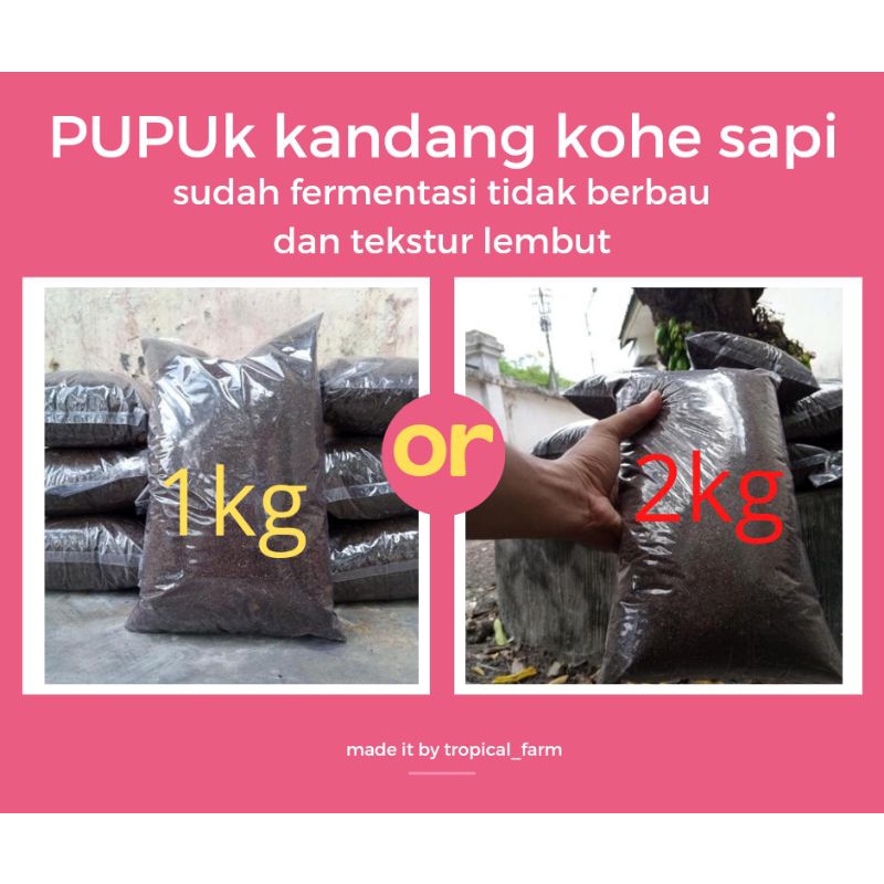 Jual Termurah Pupuk Kandang Kohe Sapi Kg Kg Shopee Indonesia