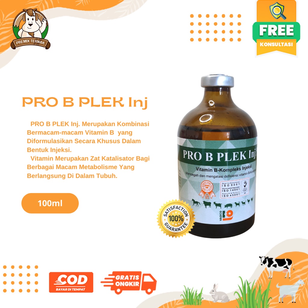 Jual PRO B PLEK INJ 100 ML Vitamin B Kompleks Hewan Sapi Kambing