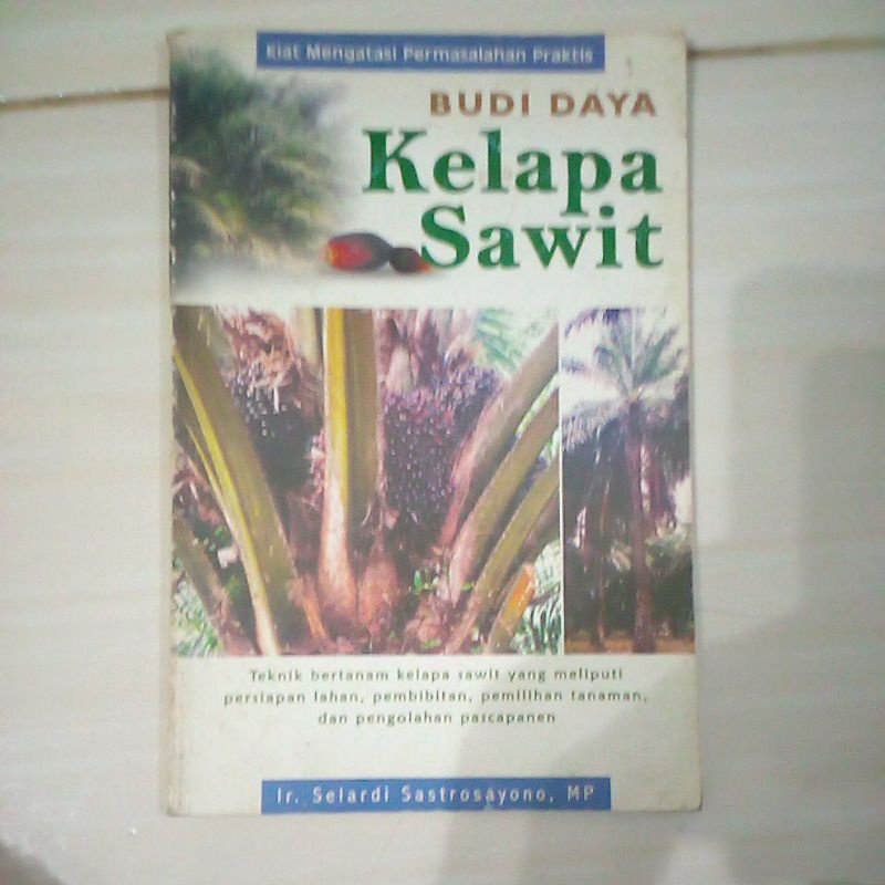 Jual Budidaya Kelapa Sawit Shopee Indonesia