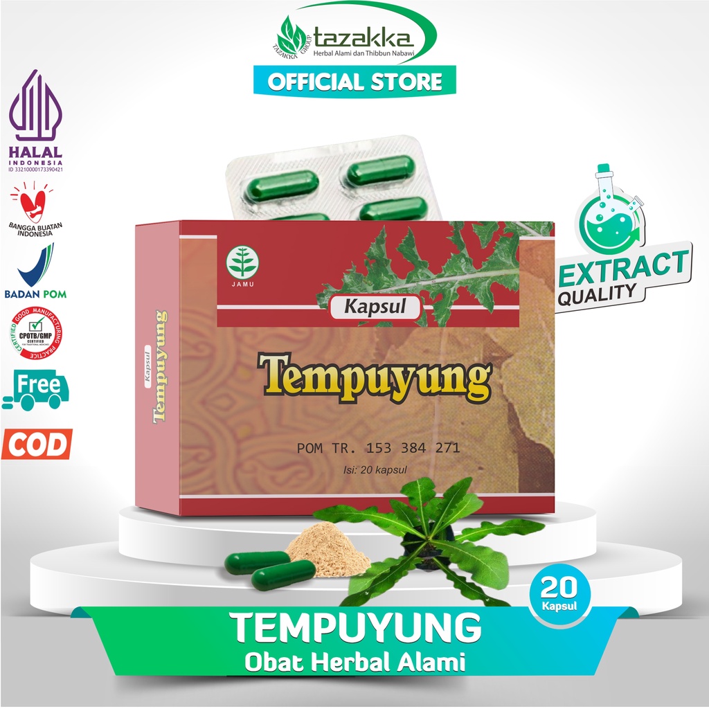 Jual Tazakka Daun Tempuyung Segar Kering Obat Penghancur Batu Ginjal