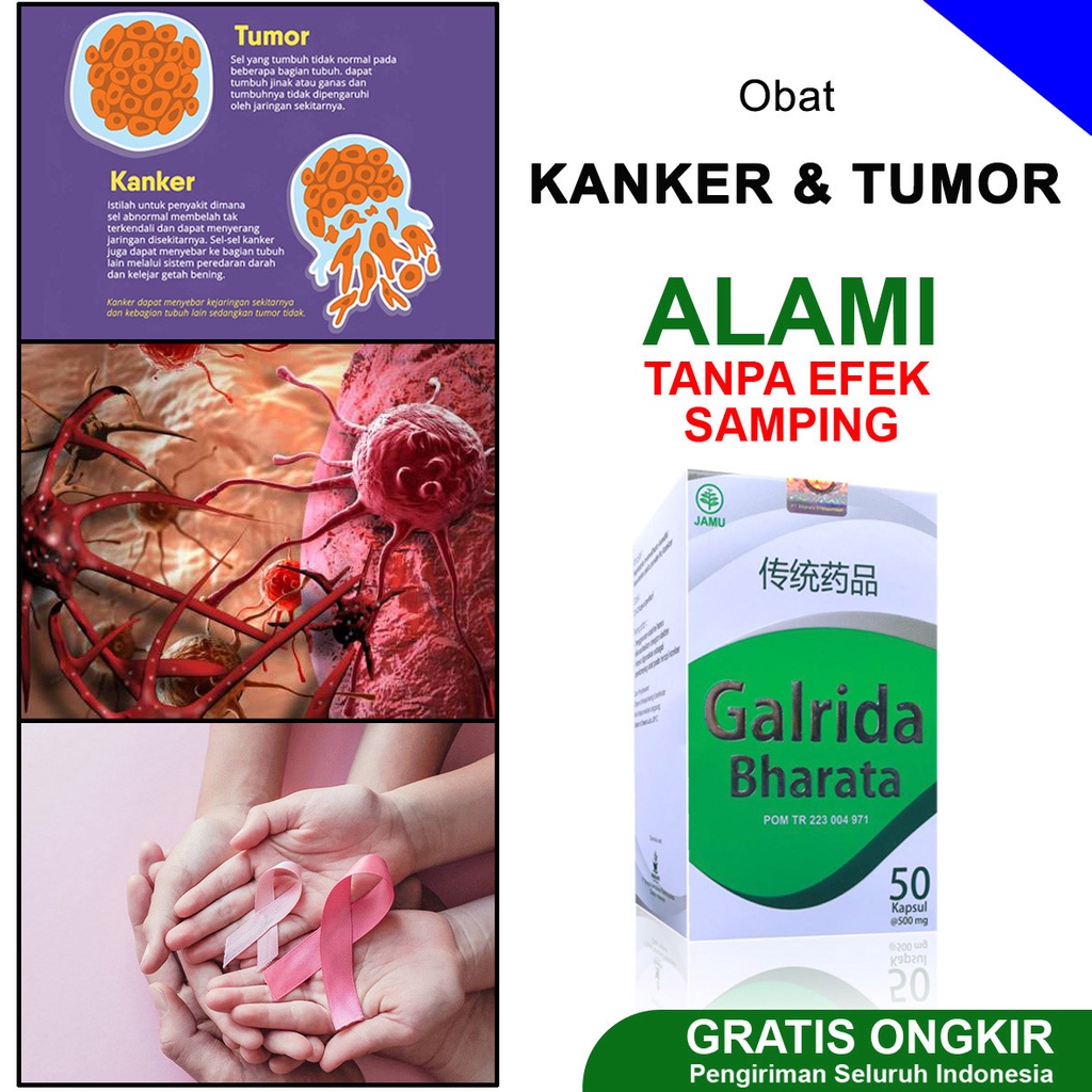 Jual Obat Herbal Kanker Tumor Kista Kanker Serviks Kanker Payudara