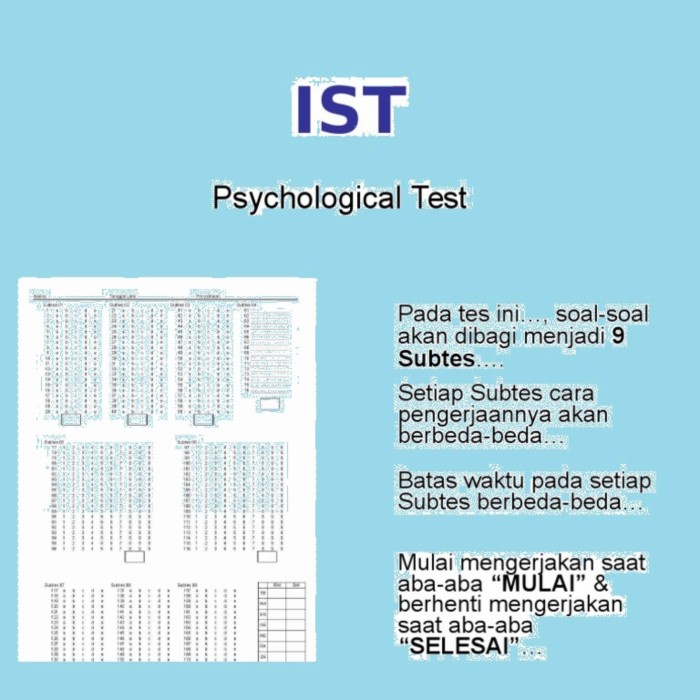 Jual Persiapan Psikotest Psikotes Ist Software Ms Excel Shopee