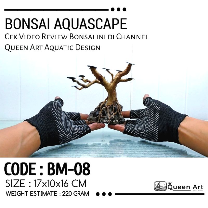 Jual Bonsai Aquascape Keren Bonsai Akar Senggani Untuk Aquarium