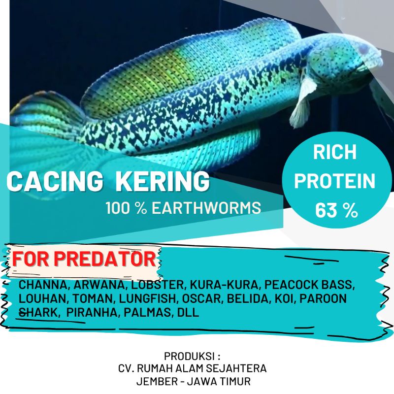 Jual CACING TANAH KERING KEMASAN 250GR KHUSUS PAKAN IKAN PREDATOR