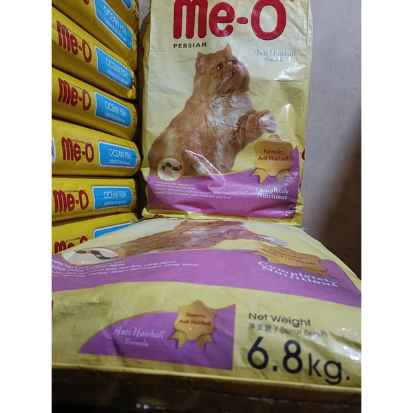 Jual Meo Persian Adult Anti Hairball Kg Catfood Shopee Indonesia