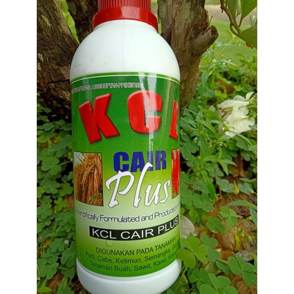 Jual Pupuk KCL PLUS NUTRISI TANAMAN TERBAIK 500ML Shopee Indonesia