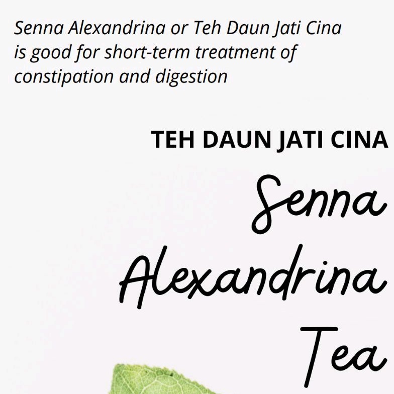 Jual Serenity Senna Alexandrina Tea Teh Daun Jati Cina Shopee Indonesia