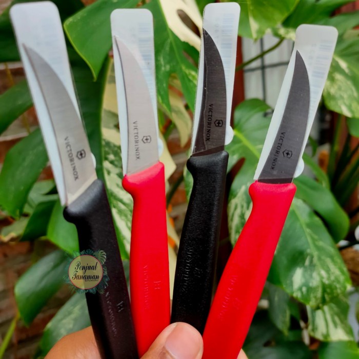 Jual Pisau Victorinox Original Pisau Potong Tanaman Grafting Okulasi