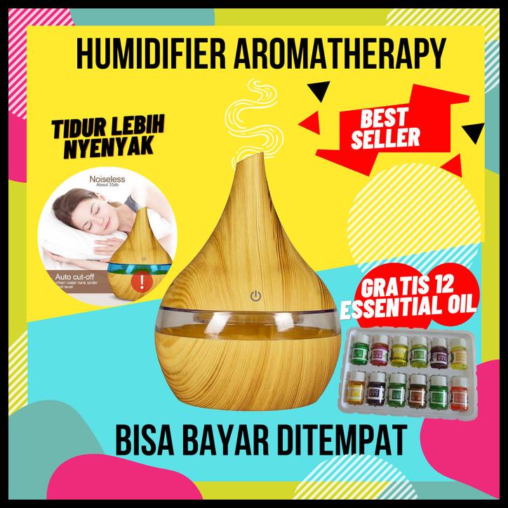 Jual Air Humidifier 300 Ml Diffuser Pengharum Ruangan Aromaterapi