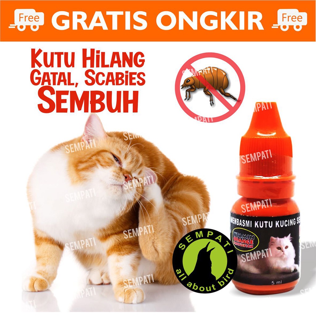 Jual Obat Kutu Kucing Anjing Magic Kutu 5 Ml Obat Kucing Tetes Basmi