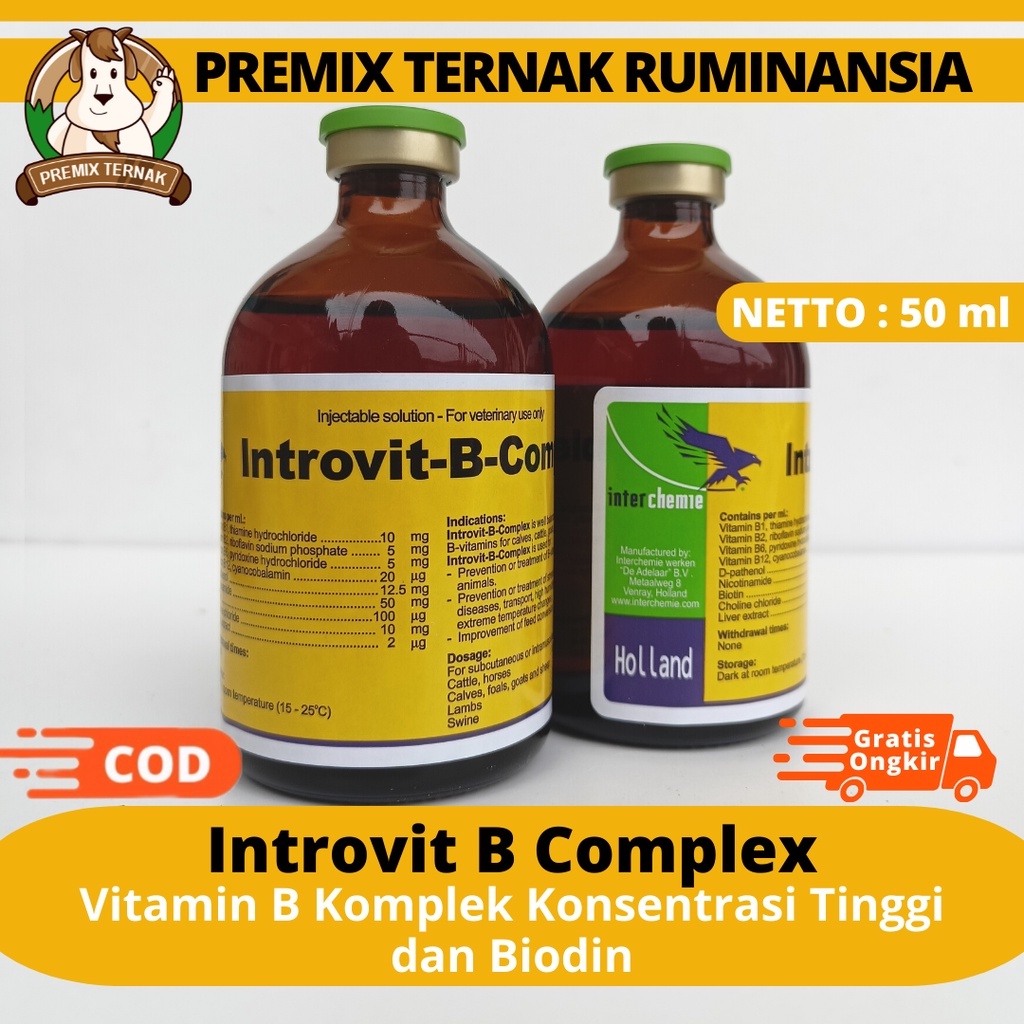 Jual INTROVIT B COMPLEX 100ml Original KONSENTRASI TINGGI DAN BIOTIN