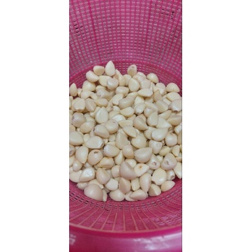 Jual Bawang Putih Kupas Honan Atau Kating 500gram Shopee Indonesia