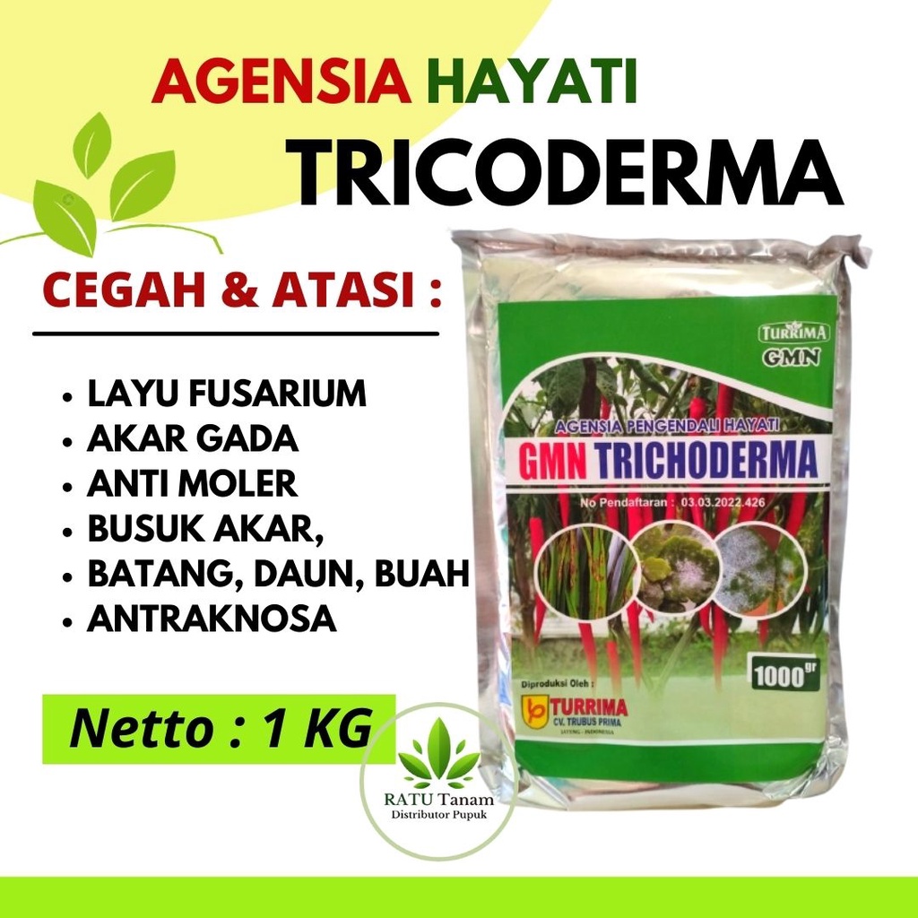 Jual Pupuk Tricoderma Anti Moler Busuk Akar Batang Fungisida