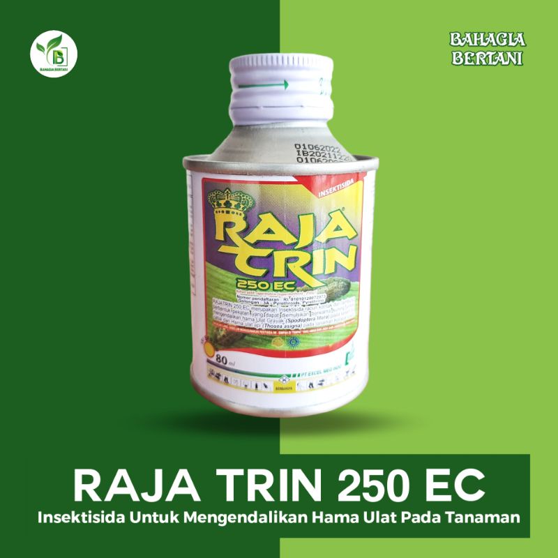 Jual RAJA TRIN 250 EC Insektisida Untuk Mengendalikan Hama Ulat Pada