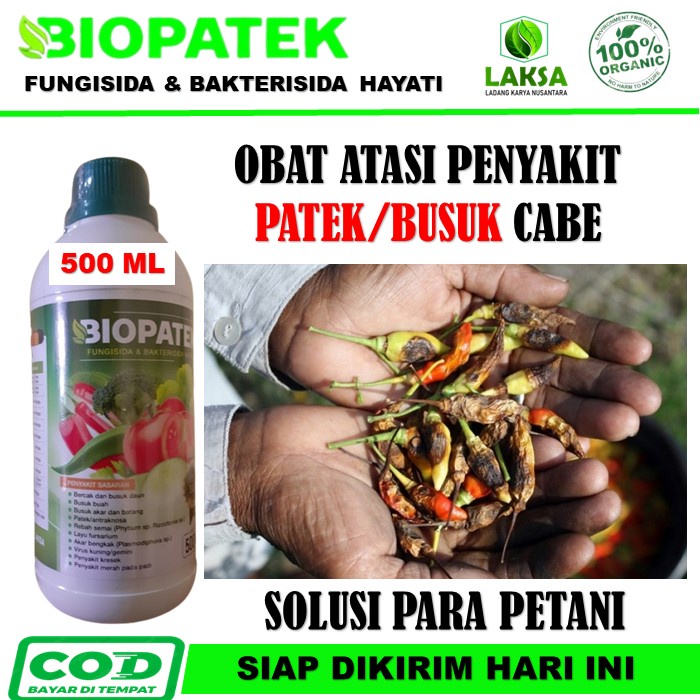 Jual BIOPATEK FUNGISIDA BAKTERISIDA HAYATI Mengatasi Hama Penyakit