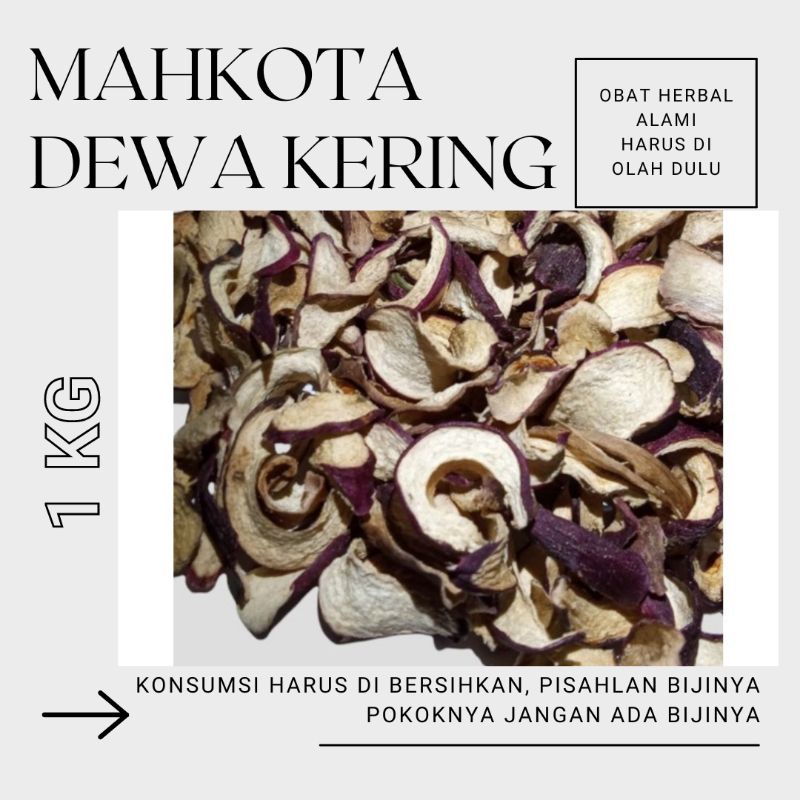 Jual Jamu Mahkota Dewa Kering 1 Kg Grosir Dapat Dikonsumsi Sendiri Atau