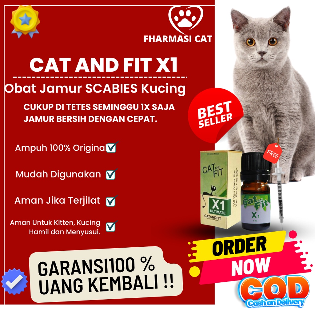 Jual Obat Jamur Kucing Scabies Kucing Paling Ampuh Cat And Fit X