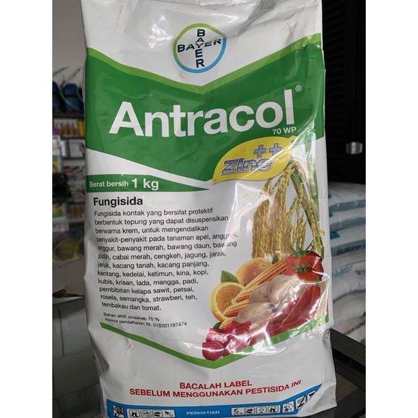 Jual Fungisida Antracol Kg Shopee Indonesia