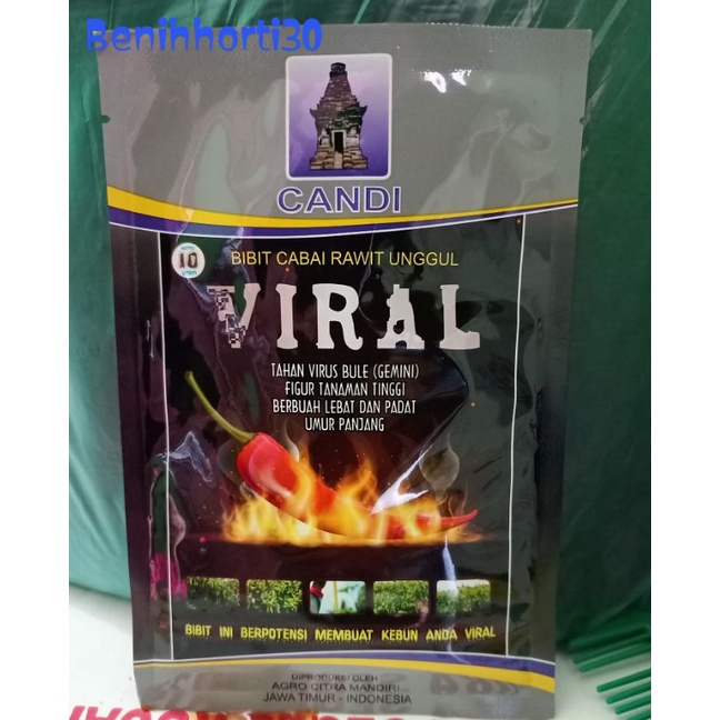 Jual Benih Cabe Rawit Viral Isi 10 Gram Shopee Indonesia