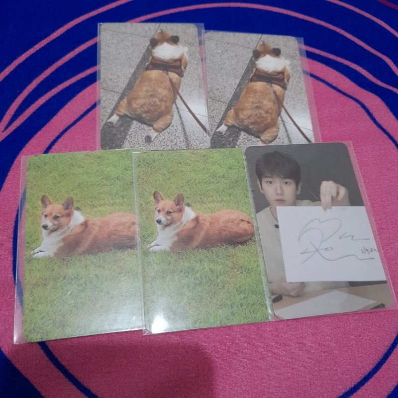 Jual Photocard Teolaegi Baekhyun Mong Entrance Card Rumput Shopee