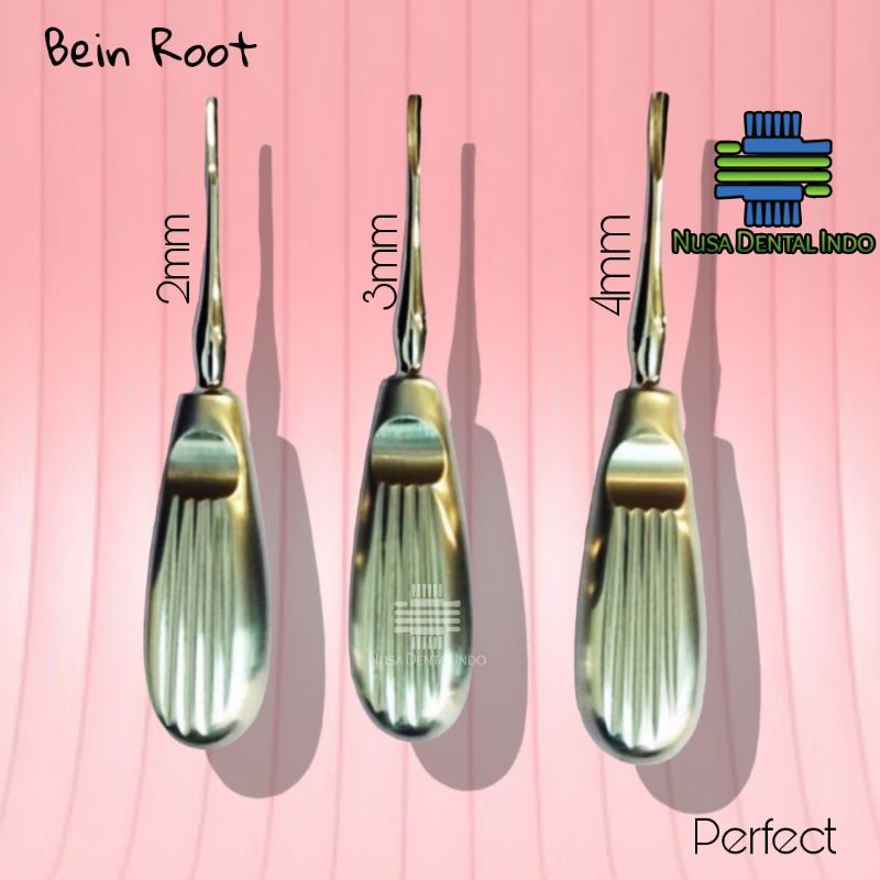 Jual DENTAL BEIN ROOT ELEVATOR PERFECT SATUAN ALAT PENCABUT GIGI