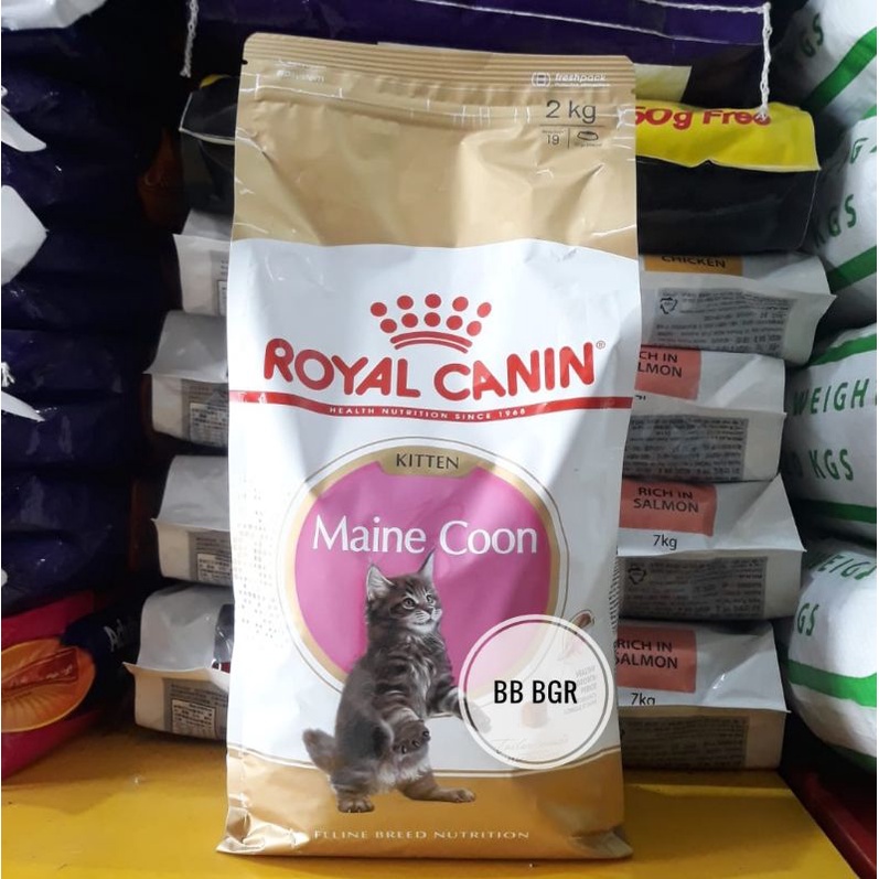 Jual Royal Canin Kitten Maine Coon Kg Shopee Indonesia