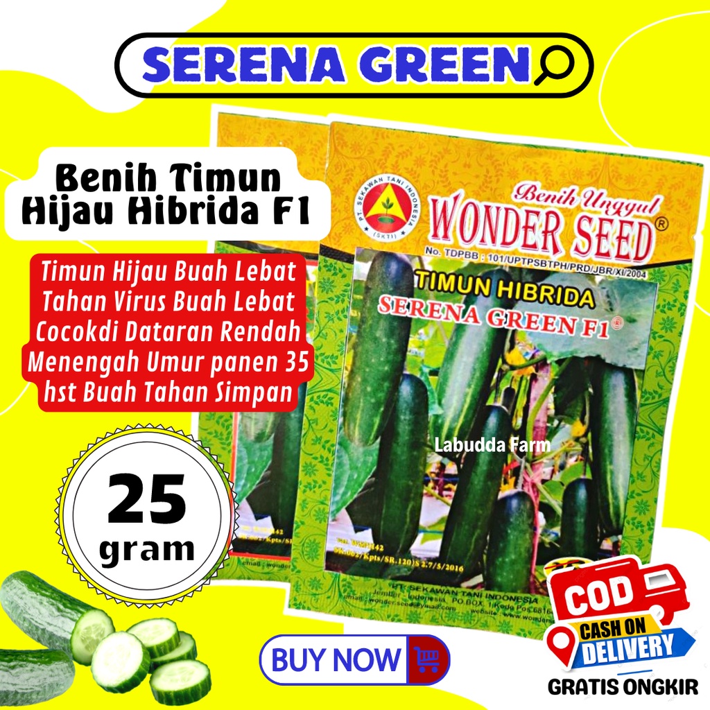 Jual Benih Timun Hijau SERENA GREEN F1 Benih Unggul Timun Hibrida F1 25