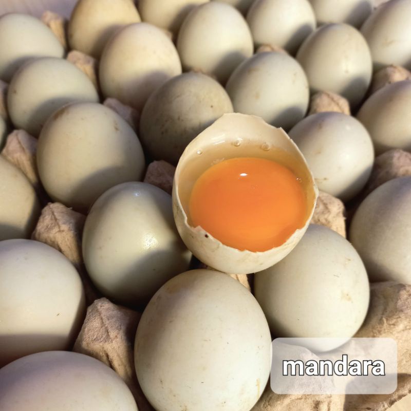 Jual Telur Bebek Mentah Manik Merah Bandung Telor Grade A Fresh Montaza