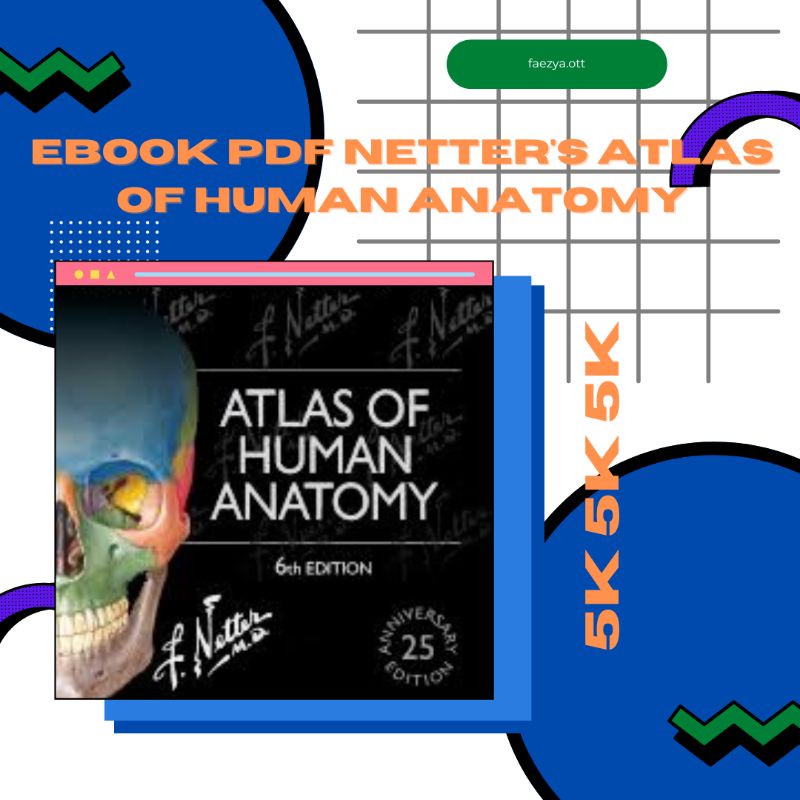 Jual Atlas Of Human Anatomy Netter English Shopee Indonesia