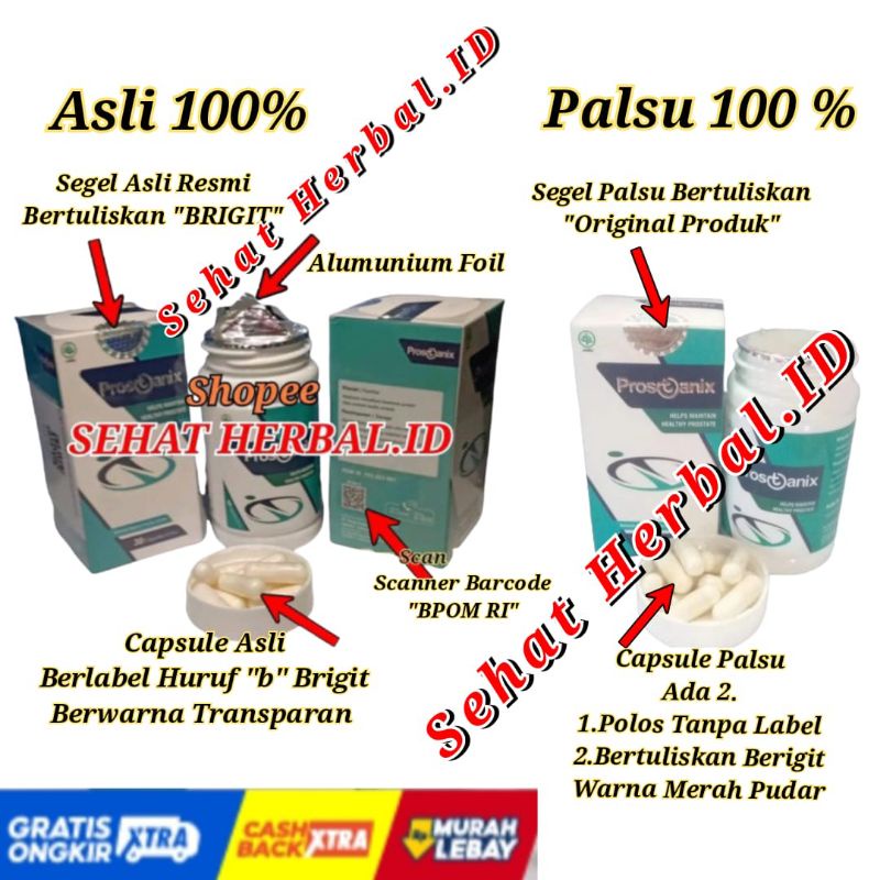 Jual Prostanix Asli Obat Prostat Original Herbal Alami Tanpa Efek