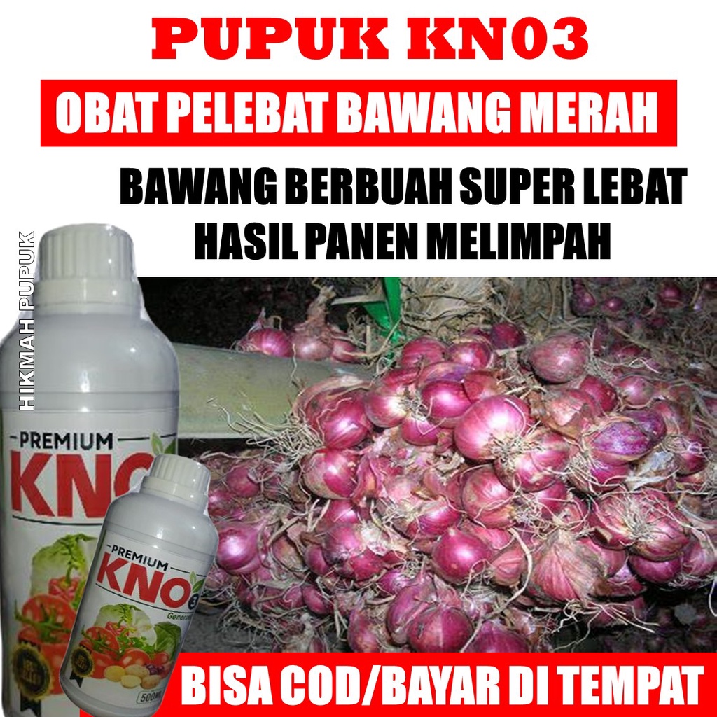 Jual Pupuk Premium Kno Generatif Pelebat Umbi Bawang Merah Pupuk