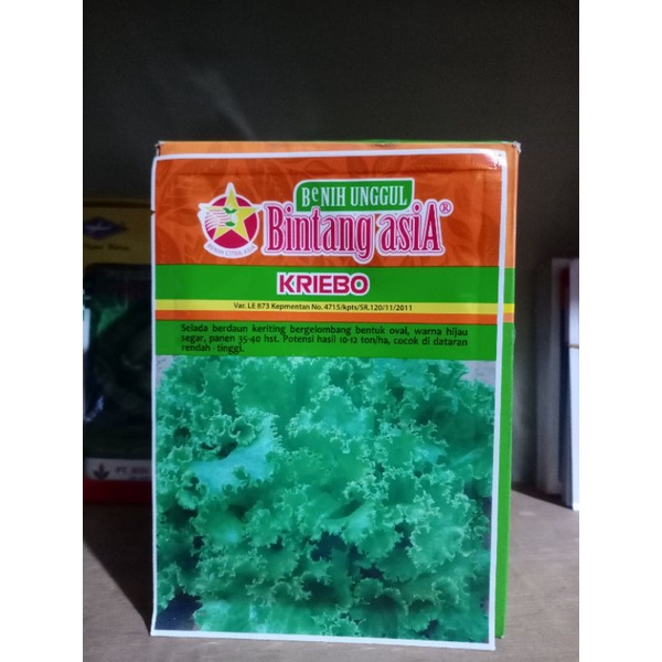 Jual Benih Selada Keriting Kriebo Kemasan 10 Gram Original Pack