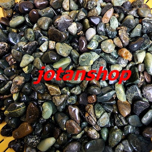 Jual Batu Kupang Coral Koral Hitam Kecil 500gr Batu Alam Hias Taman