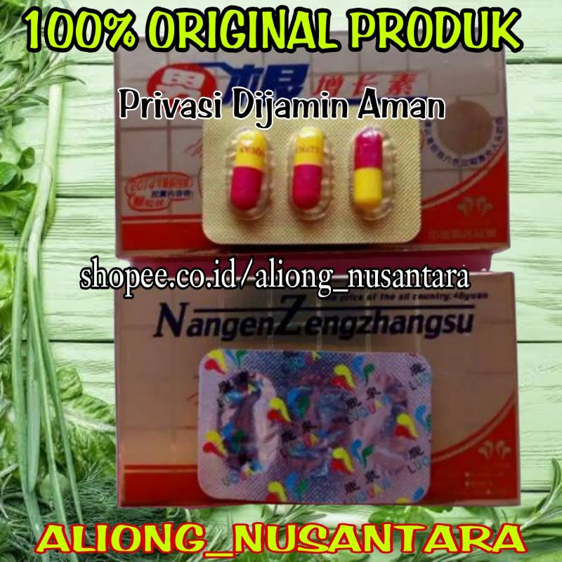 Jual 100 ORIGINAL NANGEN ZENGZHANGSU ASLI OBAT PRIA ISI 12 TABLET