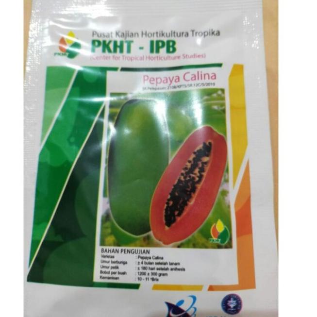 Jual Stok Banyak Benih Pepaya Calina California Ipb Isi Butir Pkht