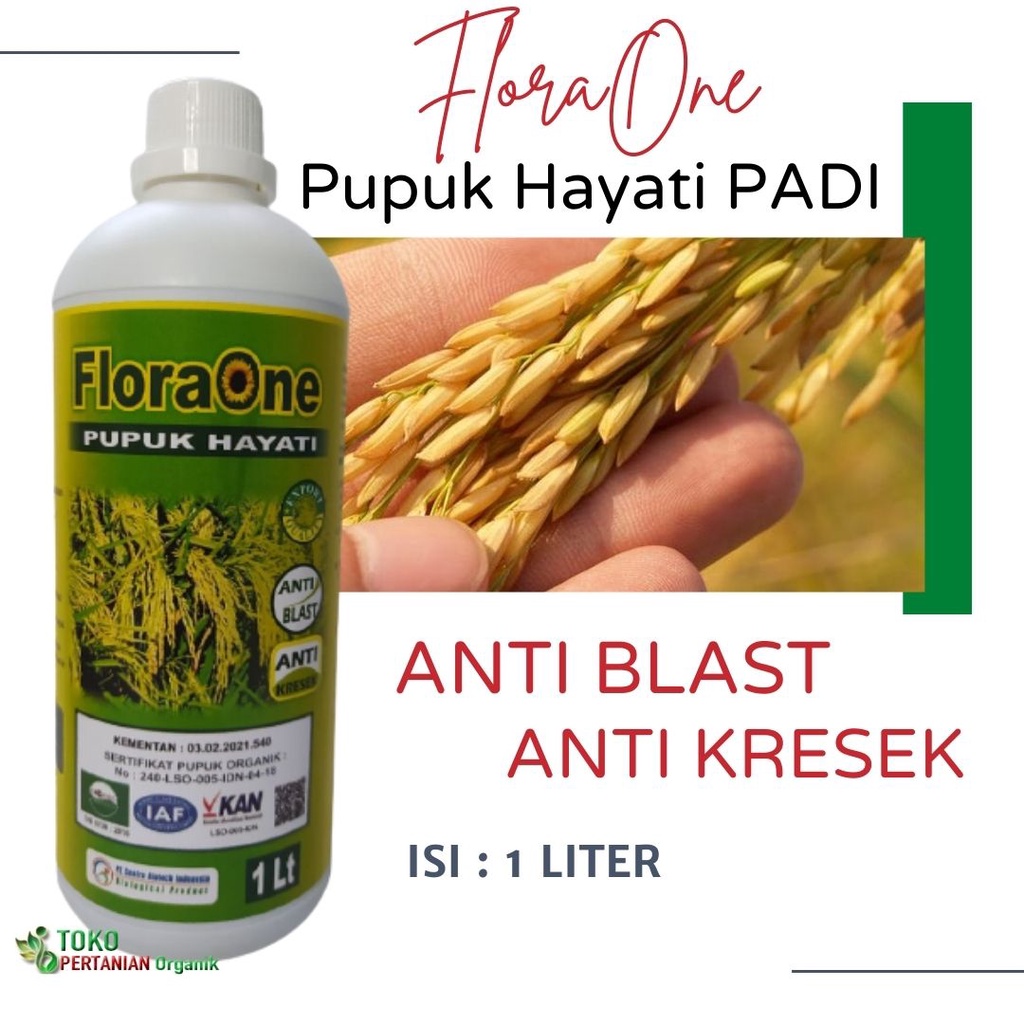 Jual Pupuk Floraone Padi Cair Pengganti Urea 1 L Fungisida Hayati