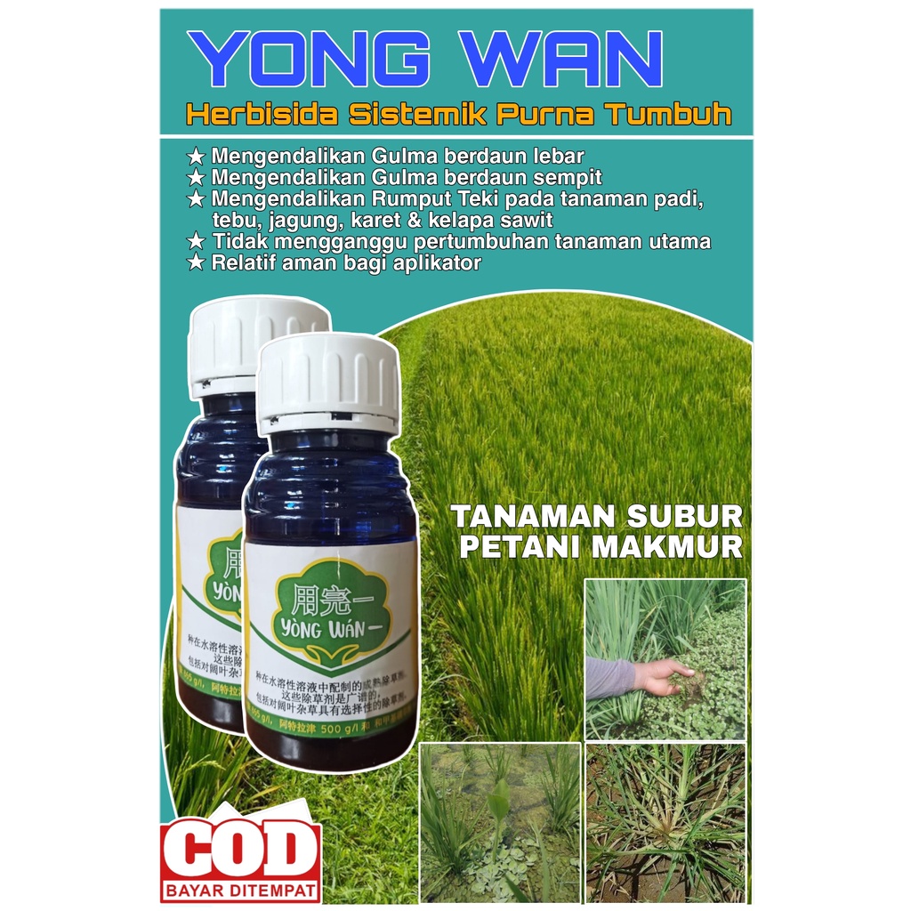 Jual Yong Wan Herbisida Sistemik Selektif Purna Dan Pra Tumbuh