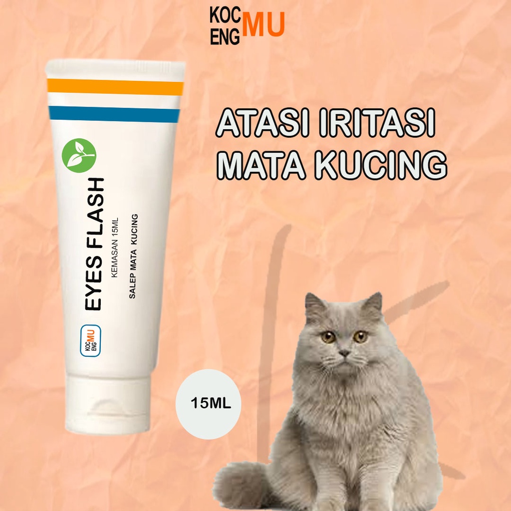 Jual Salep Mata Kucing Belekan Berair Obat Mata Kucing Kocengmu 15ml