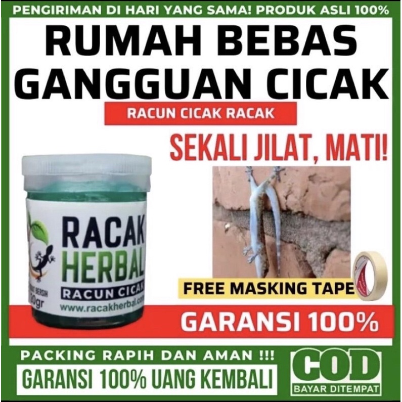 Jual Racun Cicak Herbal Paling Ampuh Racak Herbal Asli Obat Pembasmi